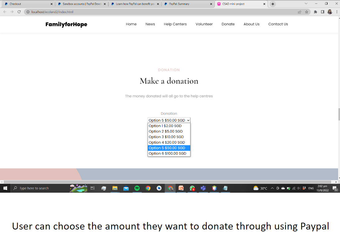 Donation page with SGD amount options feeding into PayPal checkout